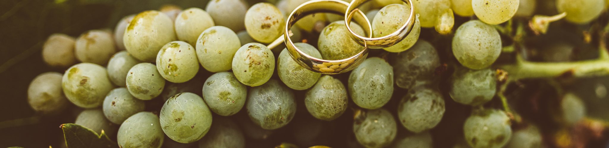 20230901-175042_MG_0070-Edit